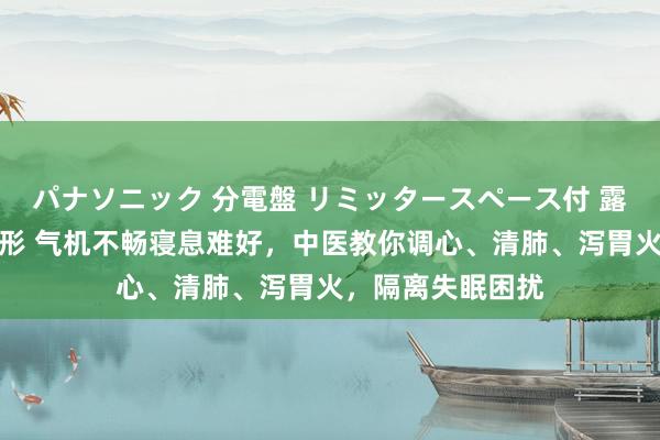 パナソニック 分電盤 リミッタースペース付 露出・半埋込両用形 气机不畅寝息难好，中医教你调心、清肺、泻胃火，隔离失眠困扰