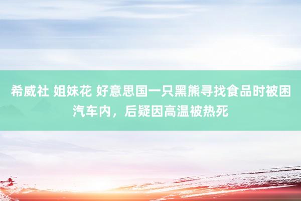 希威社 姐妹花 好意思国一只黑熊寻找食品时被困汽车内，后疑因高温被热死