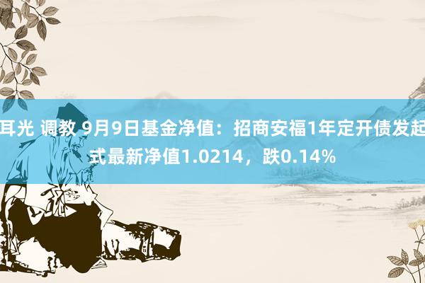 耳光 调教 9月9日基金净值：招商安福1年定开债发起式最新净值1.0214，跌0.14%