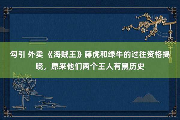 勾引 外卖 《海贼王》藤虎和绿牛的过往资格揭晓，原来他们两个王人有黑历史