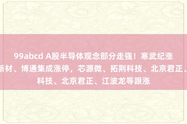 99abcd A股半导体观念部分走强！寒武纪涨超15%，有研新材、博通集成涨停，芯源微、拓荆科技、北京君正、江波龙等跟涨