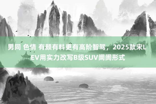 男同 色情 有颜有料更有高阶智驾，2025款宋L EV用实力改写B级SUV阛阓形式