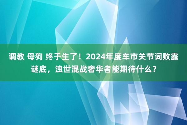 调教 母狗 终于生了！2024年度车市关节词败露谜底，浊世混战奢华者能期待什么？