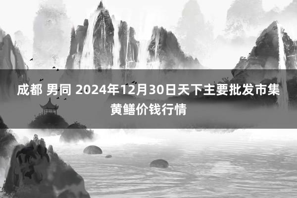 成都 男同 2024年12月30日天下主要批发市集黄鳝价钱行情