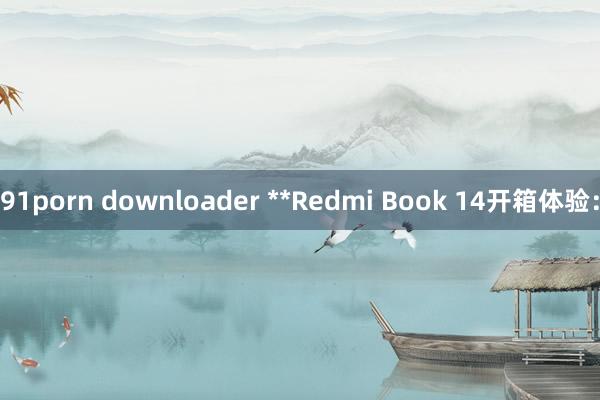 91porn downloader **Redmi Book 14开箱体验：