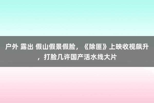 户外 露出 假山假景假脸，《除匪》上映收视飙升，打脸几许国产活水线大片