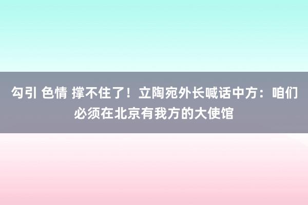 勾引 色情 撑不住了！立陶宛外长喊话中方：咱们必须在北京有我方的大使馆